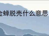 金蝉脱壳什么意思
