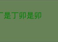 丁是丁卯是卯