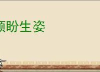 顾盼生姿
