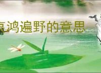 哀鸿遍野的意思