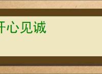 开心见诚