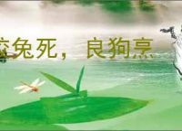 狡兔死，良狗烹