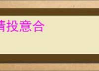 情投意合