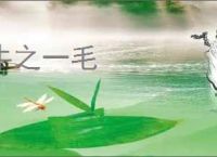 牛之一毛