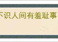 不识人间有羞耻事