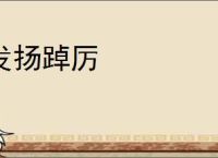 发扬踔厉