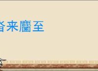 沓来麕至