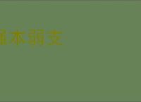 强本弱支
