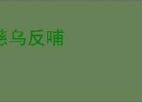 慈乌反哺
