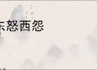 东怒西怨