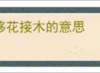 移花接木的意思