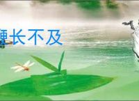鞭长不及