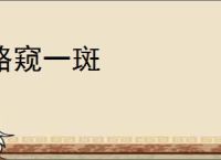 略窥一斑