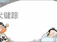 犬键踪