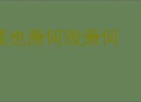 成也萧何败萧何