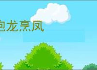炮龙烹凤