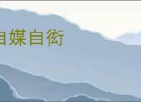 自媒自衒