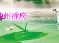 冲州撞府