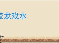 蛟龙戏水