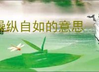 操纵自如的意思