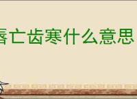 唇亡齿寒什么意思