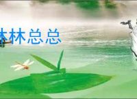 林林总总