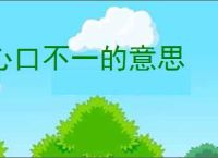 心口不一的意思
