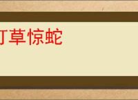 打草惊蛇
