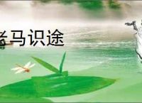 老马识途