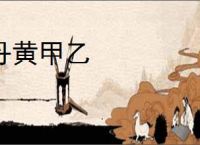 丹黄甲乙