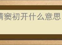 情窦初开什么意思