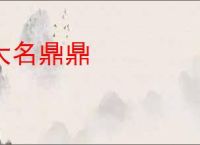 大名鼎鼎