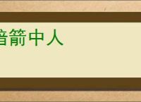 暗箭中人