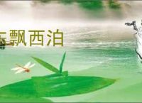 东飘西泊