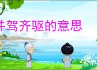 并驾齐驱的意思