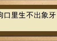 狗口里生不出象牙
