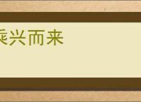 乘兴而来
