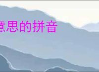 意思的拼音