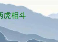两虎相斗