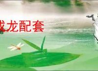 成龙配套