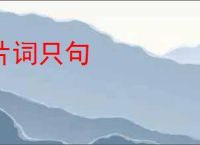 片词只句