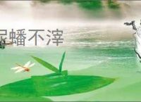泥蟠不滓