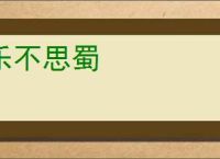 乐不思蜀