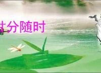 甘分随时
