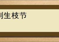 别生枝节