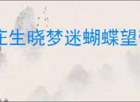 庄生晓梦迷蝴蝶望帝春心托杜鹃