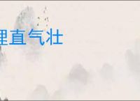 理直气壮