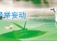 轻举妄动