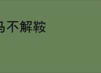 马不解鞍