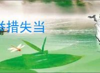 举措失当